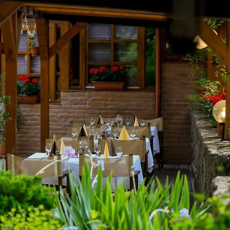 ビラ ボルギ ウェルネス＆カンファレンシア エゲル