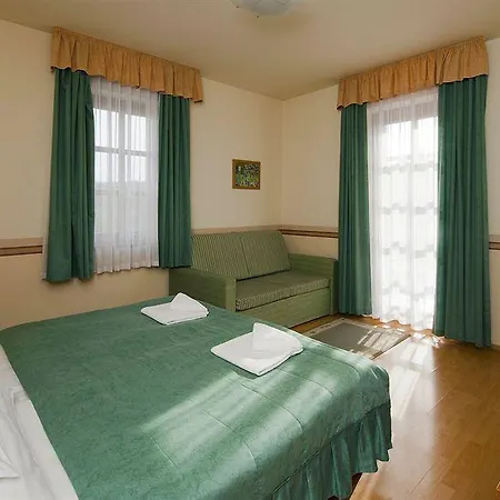 ビラ ボルギ ウェルネス＆カンファレンシア ホテル エゲル