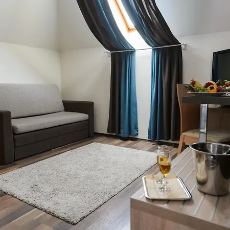 ビラ ボルギ ウェルネス＆カンファレンシア ホテル エゲル