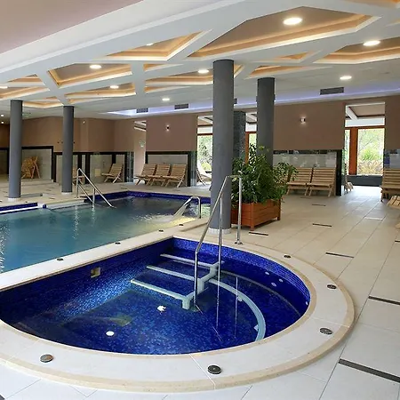 ビラ ボルギ ウェルネス＆カンファレンシア 4* エゲル