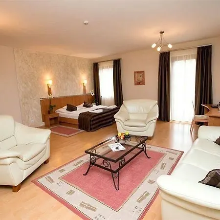 ビラ ボルギ ウェルネス＆カンファレンシア ホテル エゲル