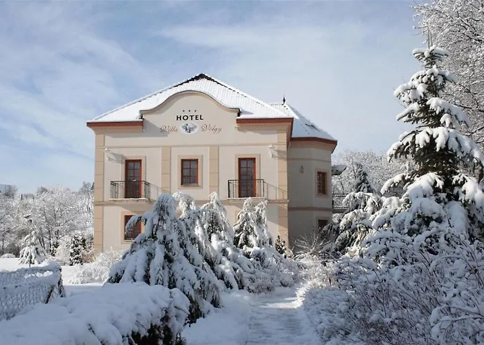 Hotel Voelgy Wellness & Konferencia 4*