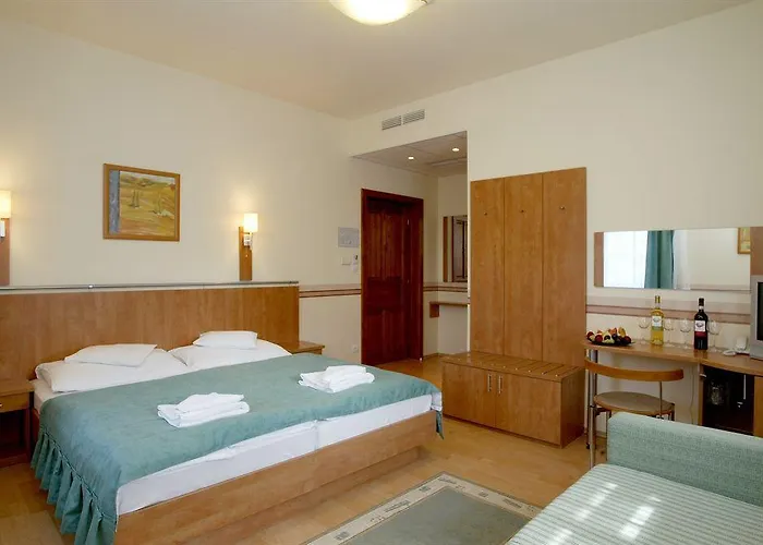 Voelgy Wellness & Konferencia Hotel