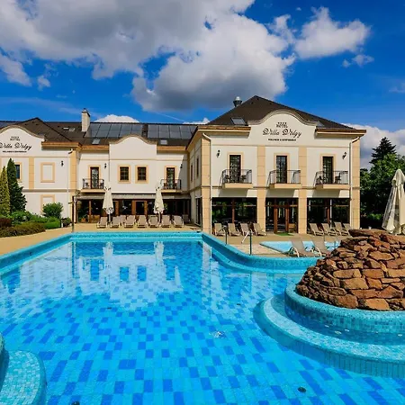 Hotel Voelgy Wellness & Konferencia 4*