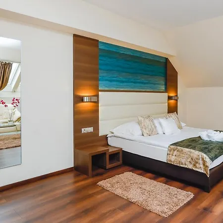 Voelgy Wellness & Konferencia Hotel