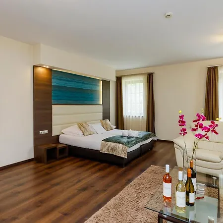 Voelgy Wellness & Konferencia Hotel