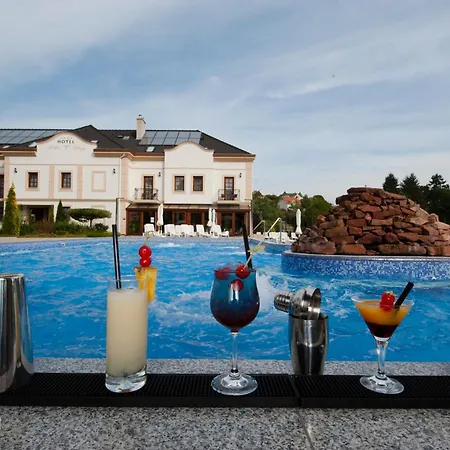 Hotel Voelgy Wellness & Konferencia Eger