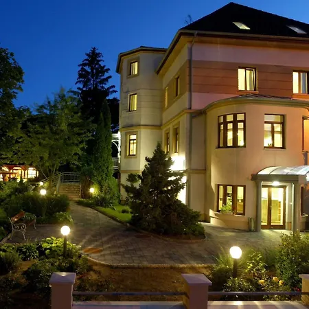 فندق Voelgy Wellness & Konferencia 4*