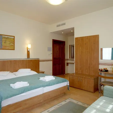 Voelgy Wellness & Konferencia Hotel