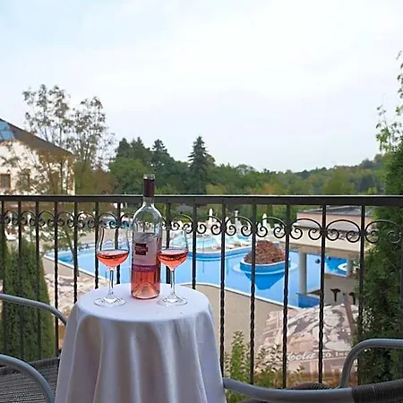 Voelgy Wellness & Konferencia 4*
