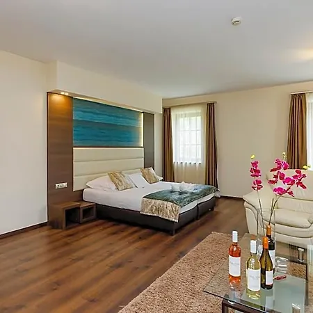 Voelgy Wellness & Konferencia Hotel
