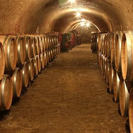 Völgy Wellness&konferencia Erlau