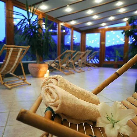 Voelgy Wellness & Konferencia فندق