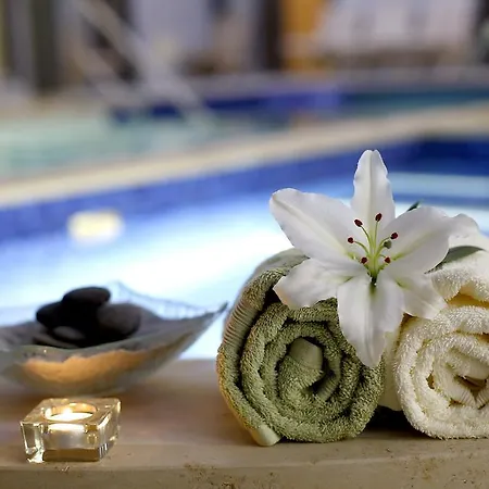 فندق Voelgy Wellness & Konferencia إغير