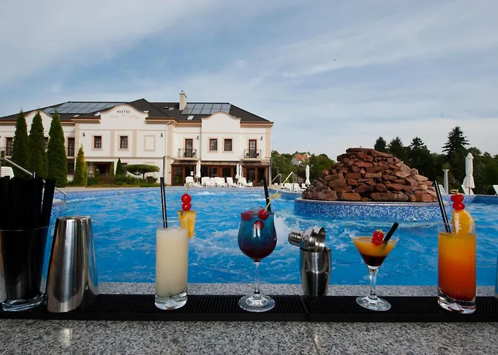 Hotel Voelgy Wellness & Konferencia Eger