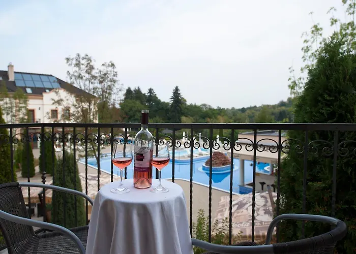 Voelgy Wellness & Konferencia