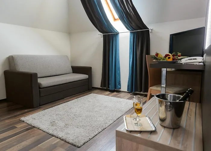 Voelgy Wellness & Konferencia Hotel Eger