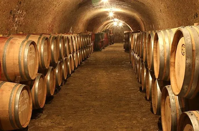 Voelgy Wellness & Konferencia Eger